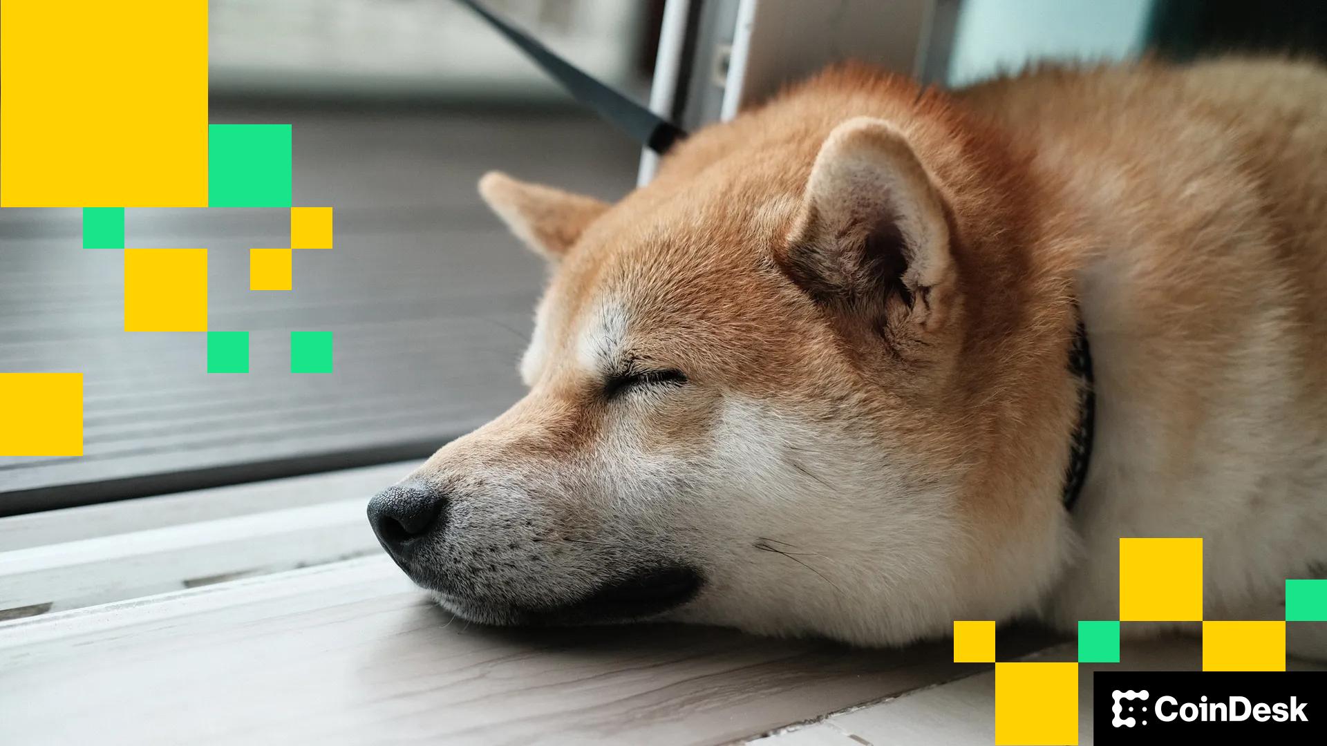 在假期流动性稀薄的情况下，狗狗币和柴犬币等狗类迷因币的价格走势平淡。 –缩略图